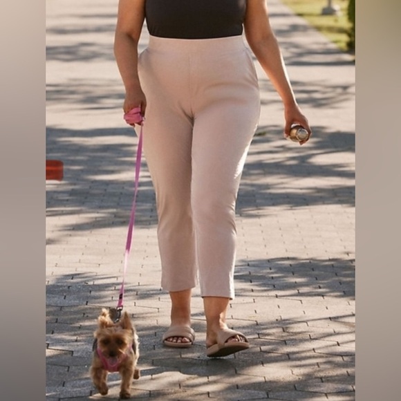 Athleta brooklyn ankle pant size 20 tan beige - Picture 3 of 9